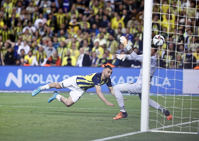 巴尔的组合 巴尔的组合