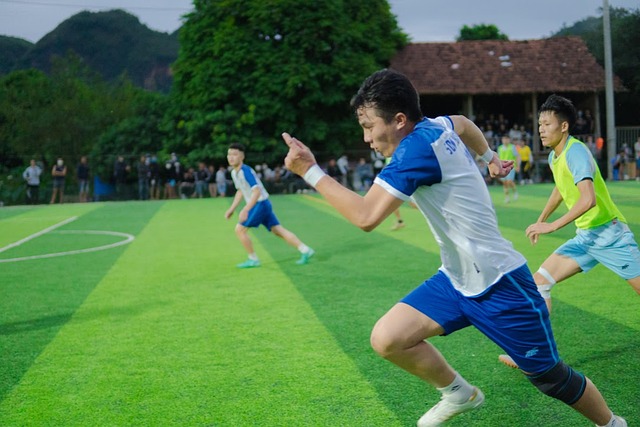 形成主要因 形成主要因