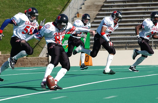 国内外援力 国内外援力