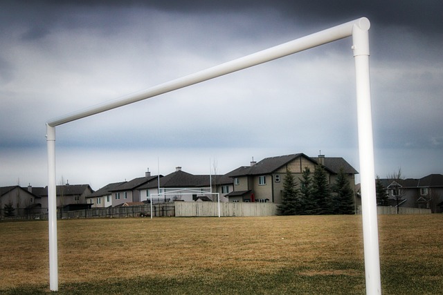 人们的参与 人们的参与