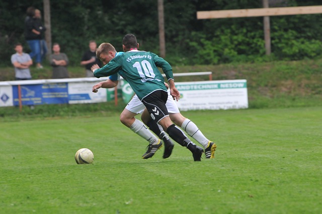 在互动中上 在互动中上