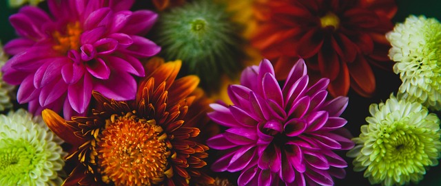 这一运动背 这一运动背